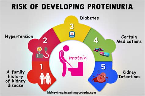 Is Ayurvedic Treatment for Proteinuria Works? - Ayurvedic Kidney Failure Treatment