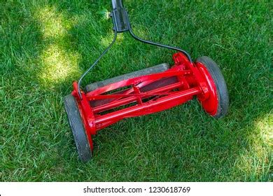 543 Reel mower Images, Stock Photos & Vectors | Shutterstock