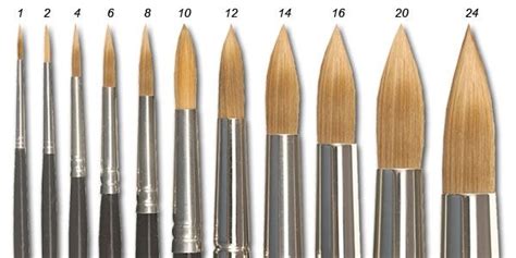 Types Of Watercolor Brushes at PaintingValley.com | Explore collection ...