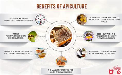 What is Apiculture? Know the Methods, Cost & Profits of Apiculture