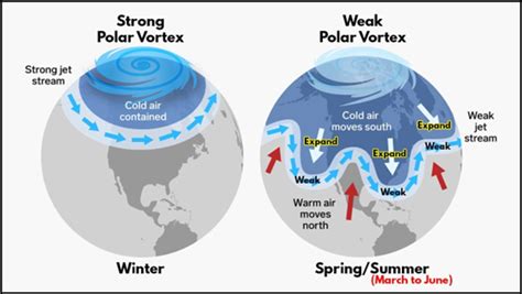 Polar Vortex Phenomenon