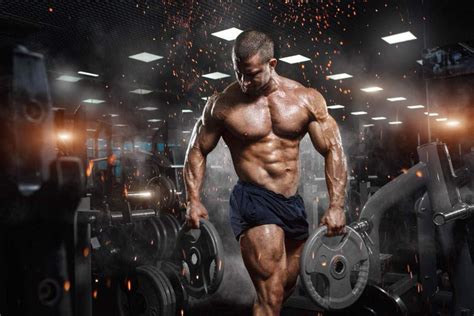 Body Building Gym Wallpaper – Myindianthings