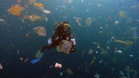 Great Pacific Garbage Patch From Plane