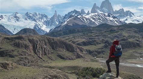 Home - Trekkingchile Explore chilean flora and fauna : Trekkingchile EN