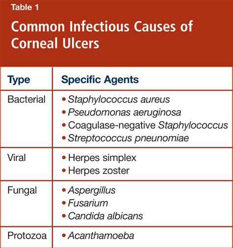 Corneal Keratitis