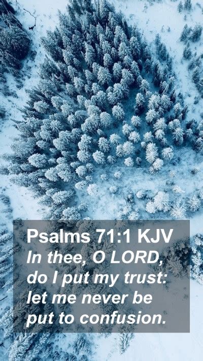 Psalms 71:1 KJV Mobile Phone Wallpaper - In thee, O LORD, do I put my trust: let me never