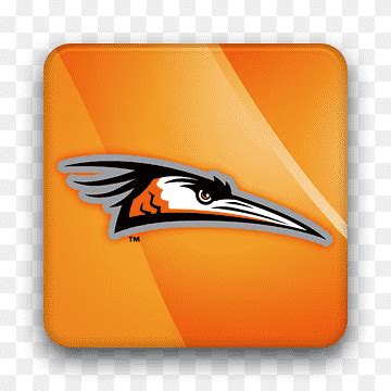 Free download | Delmarva Shorebirds Delmarva Peninsula Logo, design, sport, orange, logo png ...