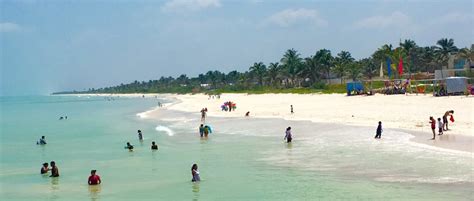 The Guide to El Cuyo, Yucatan Mexico