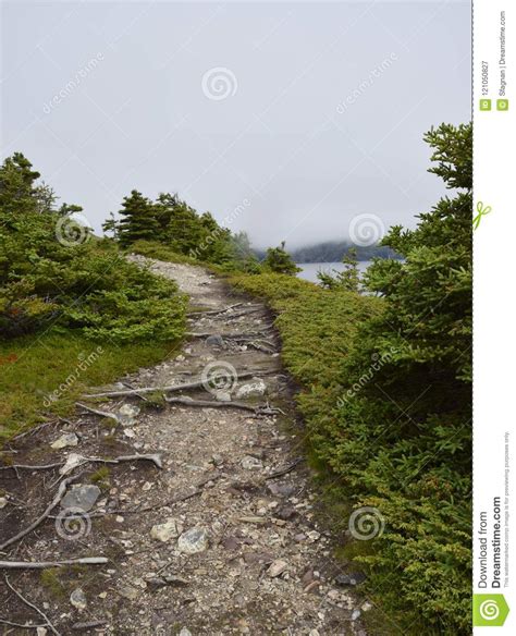 Foggy Day on Killick Coastline Stock Image - Image of canada, path: 121050827