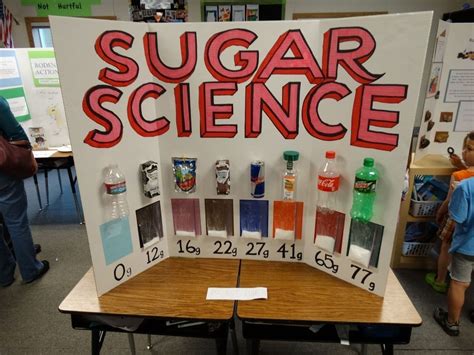 10 Wonderful Science Fair Projects Ideas For 4Th Grade 2024