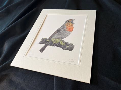 Robin Limited Edition Print Mounted 10x12 Print | Etsy