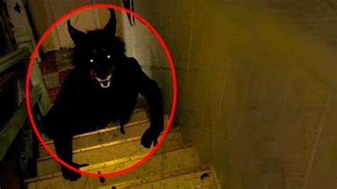 5 Scariest Creatures Caught On Camera Spotted In Real Life | Hot Sex ...