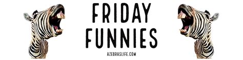 Friday Funnies ~ #Humor #Funny #FridayFunnies ~ 1/20/23 – A Zebra’s Life