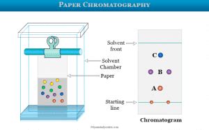 Paper Chromatography - Experiments, Principle, Procedure