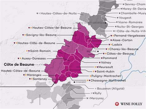 A Simple Guide to Burgundy Wine (with Maps) | Wine Folly