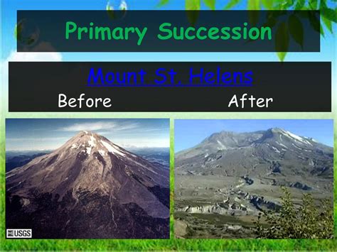 Volcano Primary Succession