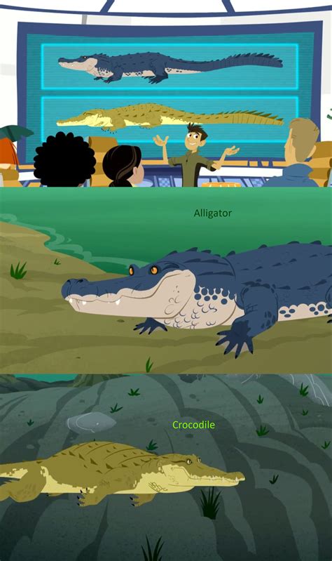 Wild Kratts Crocodile and Alligator by Mdwyer5 on DeviantArt