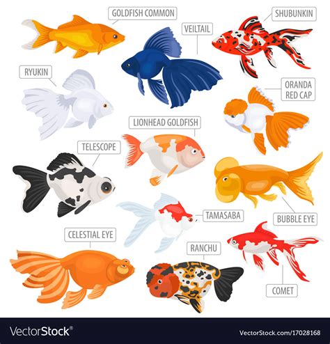 Freshwater aquarium fishes breeds icon set flat Vector Image