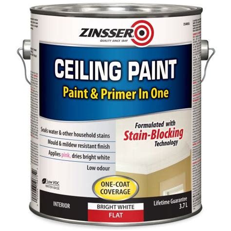 Zinsser 3.78 L Can White Water-Based Ceiling Paint & Primer | Interior ...