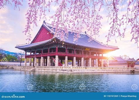 Gyeongbokgung Palace with Cherry Blossom Tree in Spring Time in Stock Image - Image of asia ...