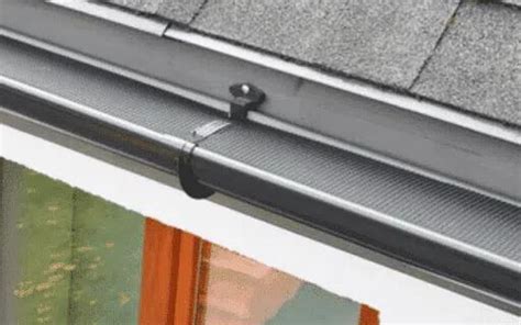 Best Gutter Guards for Keeping Pests Out (2024) | Today's Homeowner