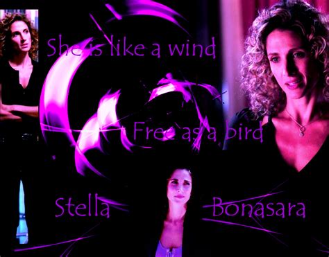 stella bonasera - CSI:NY Photo (20466511) - Fanpop