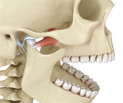 Temporomandibular Joint Disorder (TMJ) - Gentle Dentistry