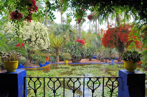 colorful moroccan garden - Google Search | Most beautiful gardens, Beautiful gardens, Moroccan ...