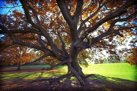 Autumn Walk - 22nd Oct — The School of Photography - Courses, Tutorials & Books