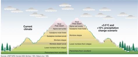 Impact of Climate Change on Mountain Vegetation Zones | GRID-Arendal