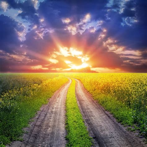 Country road and sunset stock image. Image of nature - 33837595