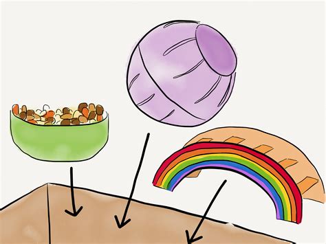 How to Make a Hamster Playground: 7 Steps (with Pictures)