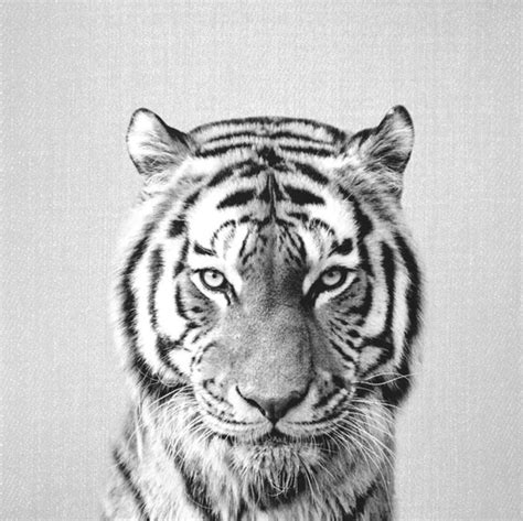 Tiger Black And White | abstract art, interior art, artwork, hand ...