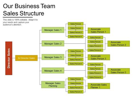 Sales Team Structure Template