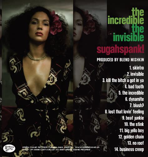 The Incredible The Invisible (LP, 2022) | Sugahspank! | Green Cookie ...