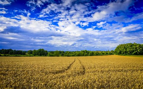 Farm wallpaper | 2560x1600 | #53273