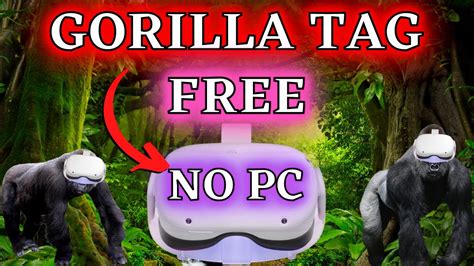 GORILLA TAG - MONKE TAG - NO PC NEEDED Oculus Quest 2 - SUPER EASY - YouTube