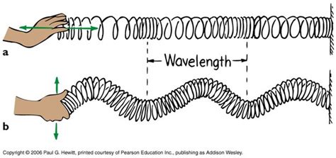 Examples Of Compression Waves