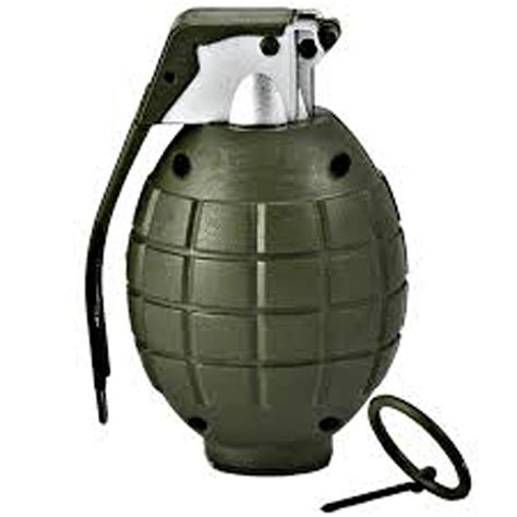 Militants hurl grenade on security forces in Pulwama; no one injured ...