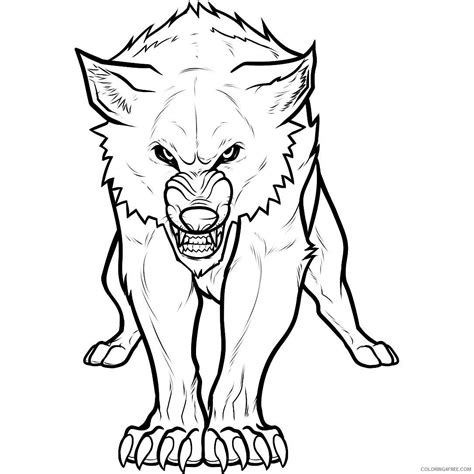 Wolves Fighting Drawing at GetDrawings | Free download