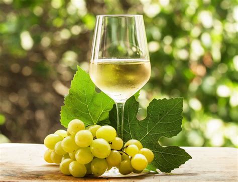 Your Guide to Enjoying Sweet White Wines | 2022