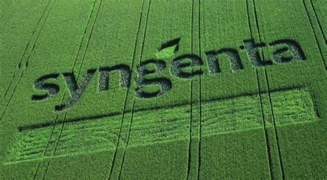 SYNGENTA USA * * * Published Results – 2010, 2011, 2015, 2017, 2018 & 2019 | IRRIGATION RESEARCH ...