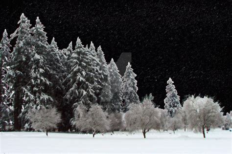 Snowy Night Scene by oregonshar on DeviantArt