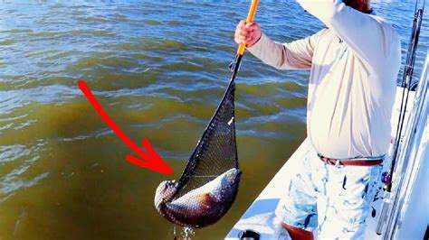 How To Correctly Net A Big Fish (So You Don't Break Your Net) - YouTube