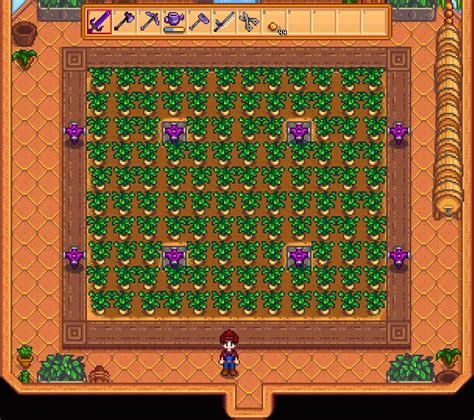 Iridium Sprinkler Range - Everything About Stardew Sprinklers