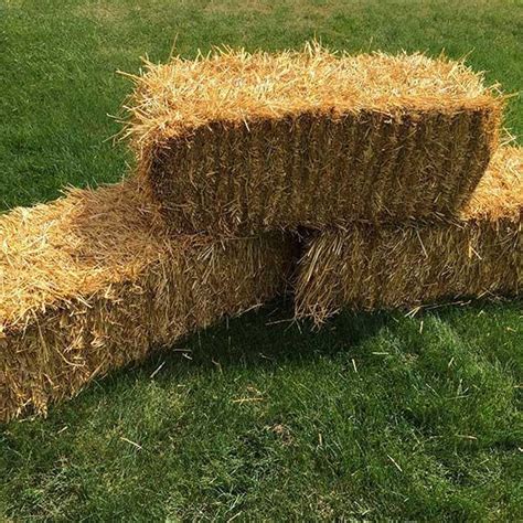 Small Square Wheat Straw Bales near Manhattan, Kansas - Hay Bales - HitchPin