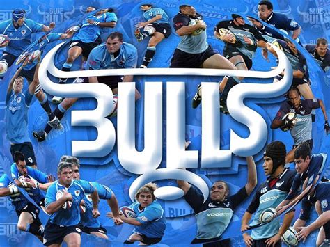 Blue Bulls Wallpapers - Wallpaper Cave