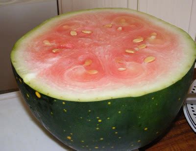 Migraine Trigger Close-up: Watermelon - Living with Migraines