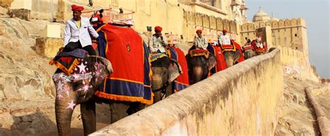 Rajasthan Tour Package for 6 Days - Itinerary | Price