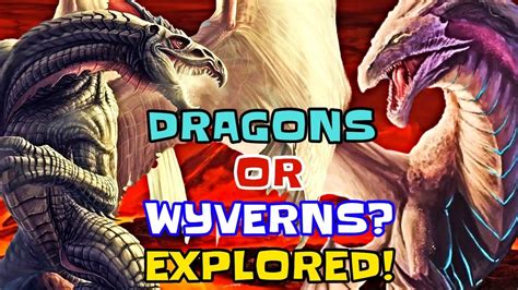 What Is The Difference Between Dragon And Wyvern? Finally Explored In Detail! - YouTube